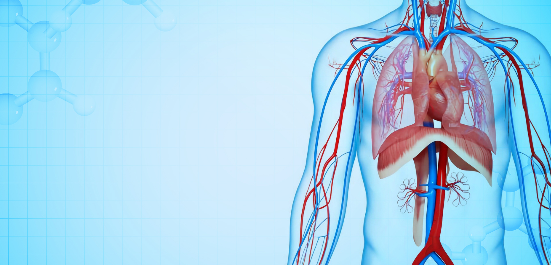 NINGBO LINSTANT POLIMERI MATERIALI CO,. LTD.