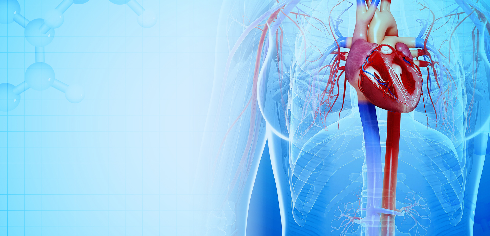 NINGBO LINSTANT POLIMERI MATERIALI CO,. LTD.