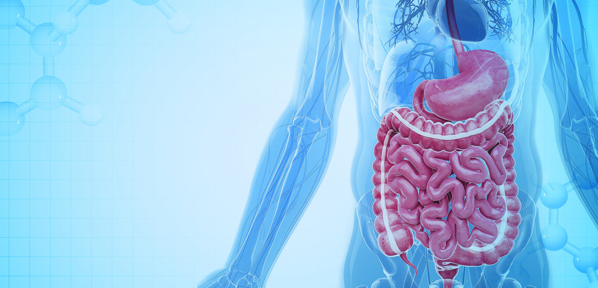 NINGBO LINSTANT POLIMERI MATERIALI CO,. LTD.