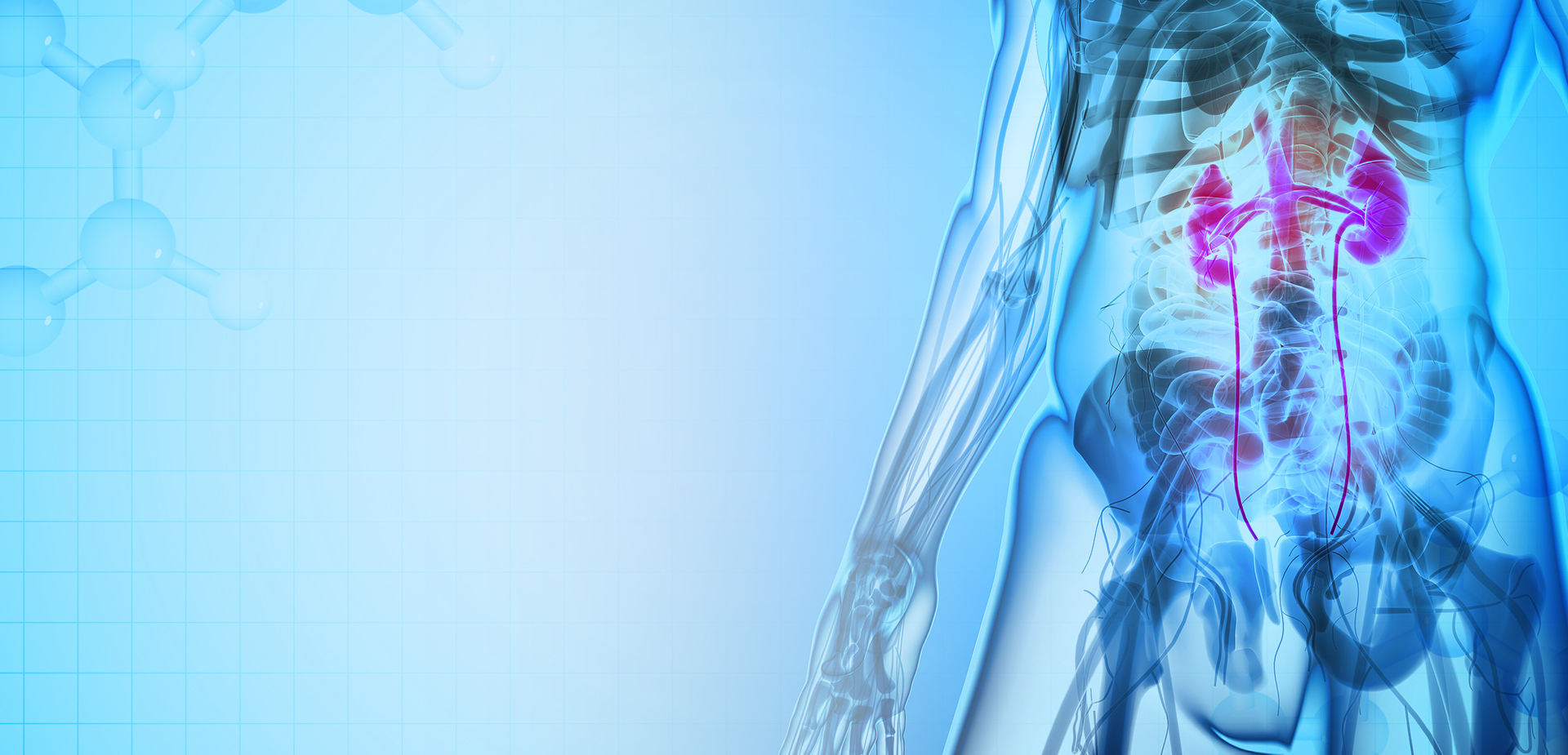 NINGBO LINSTANT POLIMERI MATERIALI CO,. LTD.